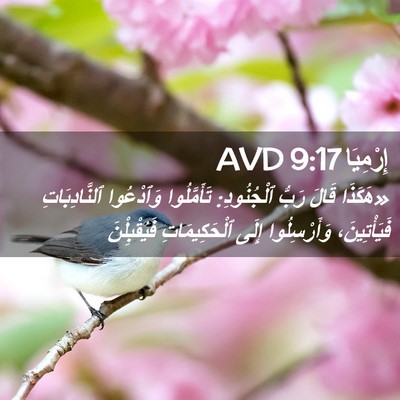 Picture 02 - إِرْمِيَا 9:17 AVD - «هَكَذَا قَالَ رَبُّ - Bible Verse Picture