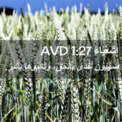 Picture 02 - إِشَعْيَاءَ 1:27 AVD - صِهْيَوْنُ تُفْدَى - Bible Verse Picture