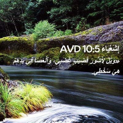 Picture 02 - إِشَعْيَاءَ 10:5 AVD - «وَيْلٌ لِأَشُّورَ - Bible Verse Picture