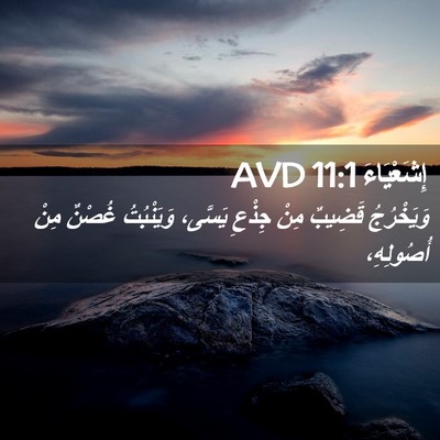 Picture 02 - إِشَعْيَاءَ 11:1 AVD - وَيَخْرُجُ قَضِيبٌ مِنْ - Bible Verse Picture