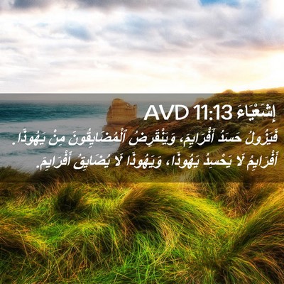 Picture 02 - إِشَعْيَاءَ 11:13 AVD - فَيَزُولُ حَسَدُ - Bible Verse Picture