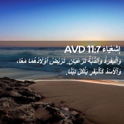 Picture 02 - إِشَعْيَاءَ 11:7 AVD - وَٱلْبَقَرَةُ - Bible Verse Picture