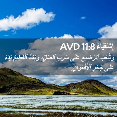 Picture 02 - إِشَعْيَاءَ 11:8 AVD - وَيَلْعَبُ ٱلرَّضِيعُ - Bible Verse Picture