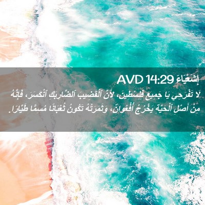 Picture 02 - إِشَعْيَاءَ 14:29 AVD - لَا تَفْرَحِي يَا جَمِيعَ - Bible Verse Picture