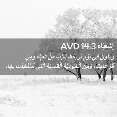 Picture 02 - إِشَعْيَاءَ 14:3 AVD - وَيَكُونُ فِي يَوْمٍ - Bible Verse Picture