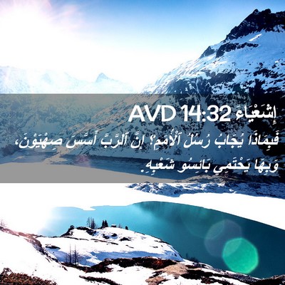 Picture 02 - إِشَعْيَاءَ 14:32 AVD - فَبِمَاذَا يُجَابُ رُسُلُ - Bible Verse Picture