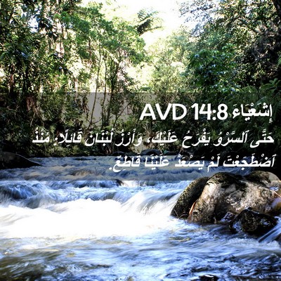 Picture 02 - إِشَعْيَاءَ 14:8 AVD - حَتَّى ٱلسَّرْوُ يَفْرَحُ - Bible Verse Picture