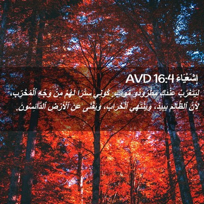Picture 02 - إِشَعْيَاءَ 16:4 AVD - لِيَتَغَرَّبْ عِنْدَكِ - Bible Verse Picture