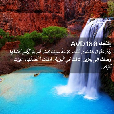 Picture 02 - إِشَعْيَاءَ 16:8 AVD - لِأَنَّ حُقُولَ حَشْبُونَ - Bible Verse Picture