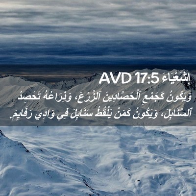 Picture 02 - إِشَعْيَاءَ 17:5 AVD - وَيَكُونُ كَجَمْعِ - Bible Verse Picture
