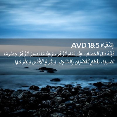 Picture 02 - إِشَعْيَاءَ 18:5 AVD - فَإِنَّهُ قَبْلَ - Bible Verse Picture