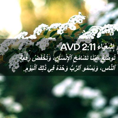 Picture 02 - إِشَعْيَاءَ 2:11 AVD - تُوضَعُ عَيْنَا تَشَامُخِ - Bible Verse Picture