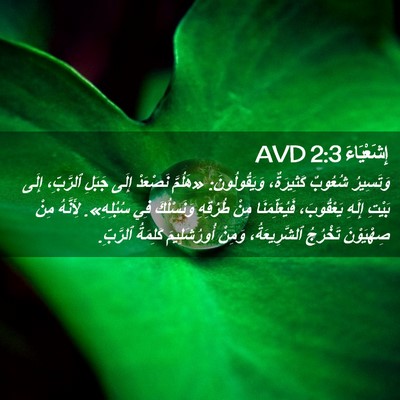 Picture 02 - إِشَعْيَاءَ 2:3 AVD - وَتَسِيرُ شُعُوبٌ - Bible Verse Picture