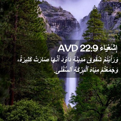 Picture 02 - إِشَعْيَاءَ 22:9 AVD - وَرَأَيْتُمْ شُقُوقَ - Bible Verse Picture