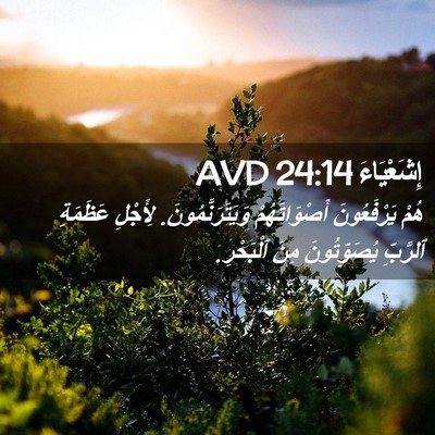 Picture 02 - إِشَعْيَاءَ 24:14 AVD - هُمْ يَرْفَعُونَ - Bible Verse Picture