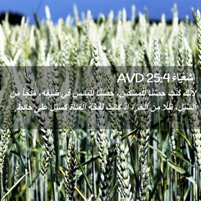 Picture 02 - إِشَعْيَاءَ 25:4 AVD - لِأَنَّكَ كُنْتَ حِصْنًا - Bible Verse Picture
