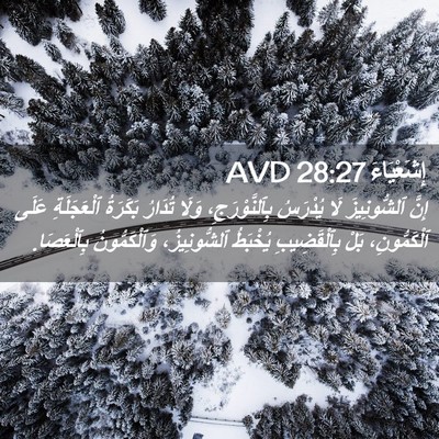 Picture 02 - إِشَعْيَاءَ 28:27 AVD - إِنَّ ٱلشُّونِيزَ لَا - Bible Verse Picture