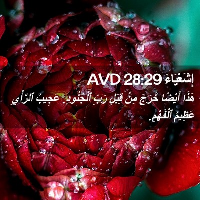 Picture 02 - إِشَعْيَاءَ 28:29 AVD - هَذَا أَيْضًا خَرَجَ مِنْ - Bible Verse Picture