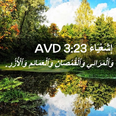 Picture 02 - إِشَعْيَاءَ 3:23 AVD - وَٱلْمَرَائِي - Bible Verse Picture