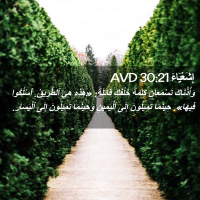 Picture 02 - إِشَعْيَاءَ 30:21 AVD - وَأُذُنَاكَ تَسْمَعَانِ - Bible Verse Picture