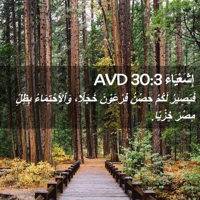 Picture 02 - إِشَعْيَاءَ 30:3 AVD - فَيَصِيرُ لَكُمْ حِصْنُ - Bible Verse Picture