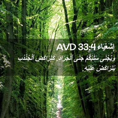 Picture 02 - إِشَعْيَاءَ 33:4 AVD - وَيُجْنَى سَلَبُكُمْ - Bible Verse Picture