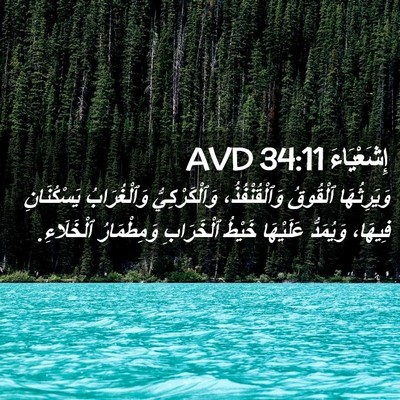 Picture 02 - إِشَعْيَاءَ 34:11 AVD - وَيَرِثُهَا ٱلْقُوقُ - Bible Verse Picture