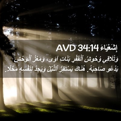 Picture 02 - إِشَعْيَاءَ 34:14 AVD - وَتُلَاقِي وُحُوشُ - Bible Verse Picture