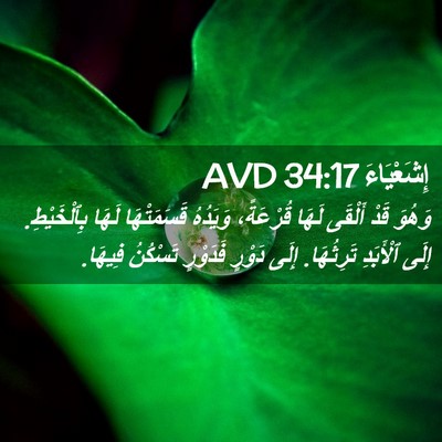 Picture 02 - إِشَعْيَاءَ 34:17 AVD - وَهُوَ قَدْ أَلْقَى لَهَا - Bible Verse Picture