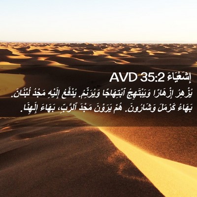 Picture 02 - إِشَعْيَاءَ 35:2 AVD - يُزْهِرُ إِزْهَارًا - Bible Verse Picture