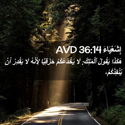 Picture 02 - إِشَعْيَاءَ 36:14 AVD - هَكَذَا يَقُولُ ٱلْمَلِكُ: - Bible Verse Picture