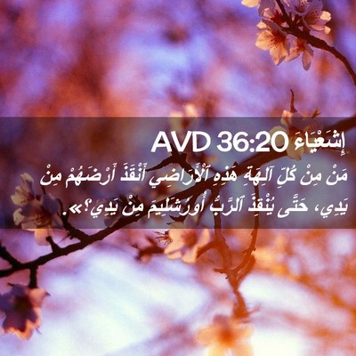 Picture 02 - إِشَعْيَاءَ 36:20 AVD - مَنْ مِنْ كُلِّ آلِهَةِ - Bible Verse Picture