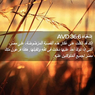 Picture 02 - إِشَعْيَاءَ 36:6 AVD - إِنَّكَ قَدِ ٱتَّكَلْتَ - Bible Verse Picture