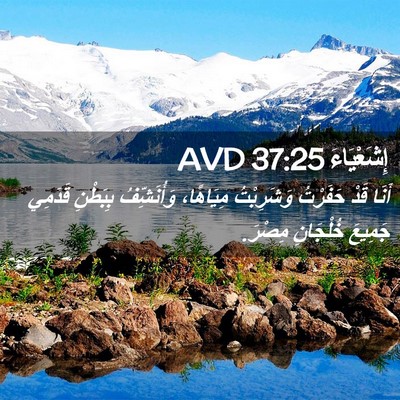 Picture 02 - إِشَعْيَاءَ 37:25 AVD - أَنَا قَدْ حَفَرْتُ - Bible Verse Picture
