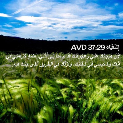 Picture 02 - إِشَعْيَاءَ 37:29 AVD - لِأَنَّ هَيَجَانَكَ - Bible Verse Picture