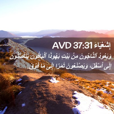 Picture 02 - إِشَعْيَاءَ 37:31 AVD - وَيَعُودُ ٱلنَّاجُونَ - Bible Verse Picture