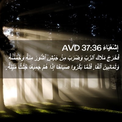 Picture 02 - إِشَعْيَاءَ 37:36 AVD - فَخَرَجَ مَلَاكُ ٱلرَّبِّ - Bible Verse Picture