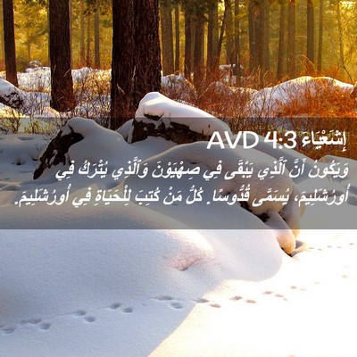 Picture 02 - إِشَعْيَاءَ 4:3 AVD - وَيَكُونُ أَنَّ ٱلَّذِي - Bible Verse Picture
