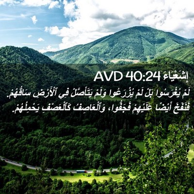 Picture 02 - إِشَعْيَاءَ 40:24 AVD - لَمْ يُغْرَسُوا بَلْ لَمْ - Bible Verse Picture