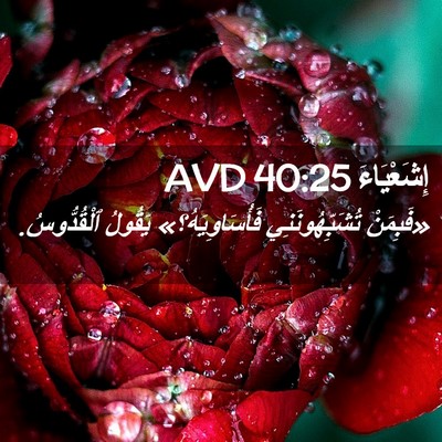 Picture 02 - إِشَعْيَاءَ 40:25 AVD - «فَبِمَنْ تُشَبِّهُونَنِي - Bible Verse Picture