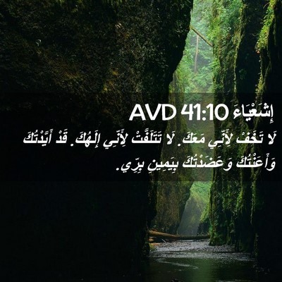 Picture 02 - إِشَعْيَاءَ 41:10 AVD - لَا تَخَفْ لِأَنِّي - Bible Verse Picture