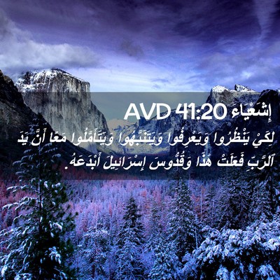 Picture 02 - إِشَعْيَاءَ 41:20 AVD - لِكَيْ يَنْظُرُوا - Bible Verse Picture