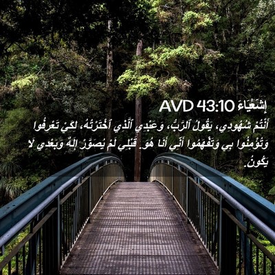 Picture 02 - إِشَعْيَاءَ 43:10 AVD - أَنْتُمْ شُهُودِي، - Bible Verse Picture