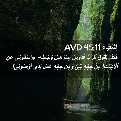 Picture 02 - إِشَعْيَاءَ 45:11 AVD - هَكَذَا يَقُولُ ٱلرَّبُّ - Bible Verse Picture