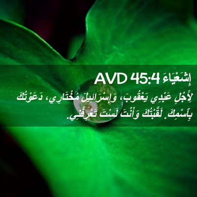 Picture 02 - إِشَعْيَاءَ 45:4 AVD - لِأَجْلِ عَبْدِي - Bible Verse Picture