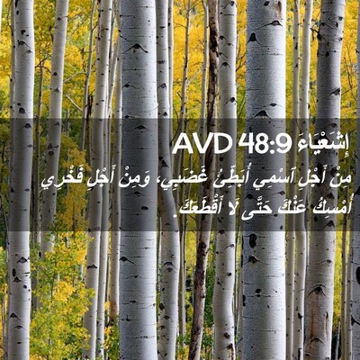 Picture 02 - إِشَعْيَاءَ 48:9 AVD - مِنْ أَجْلِ ٱسْمِي - Bible Verse Picture