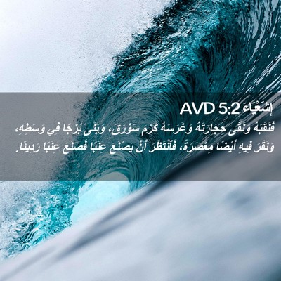 Picture 02 - إِشَعْيَاءَ 5:2 AVD - فَنَقَبَهُ وَنَقَّى - Bible Verse Picture