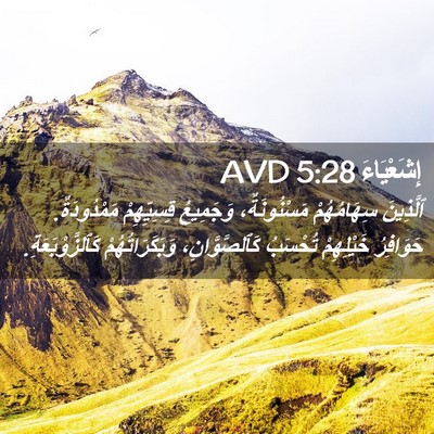 Picture 02 - إِشَعْيَاءَ 5:28 AVD - ٱلَّذِينَ سِهَامُهُمْ - Bible Verse Picture
