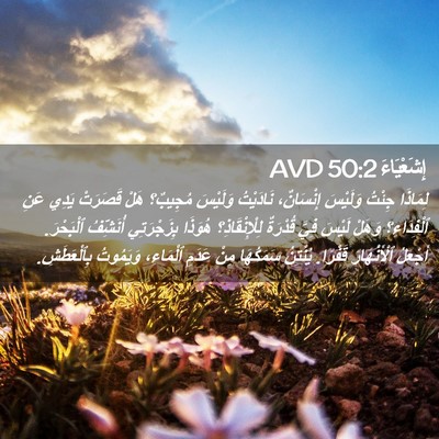 Picture 02 - إِشَعْيَاءَ 50:2 AVD - لِمَاذَا جِئْتُ وَلَيْسَ - Bible Verse Picture