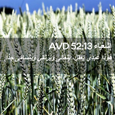 Picture 02 - إِشَعْيَاءَ 52:13 AVD - هُوَذَا عَبْدِي يَعْقِلُ، - Bible Verse Picture